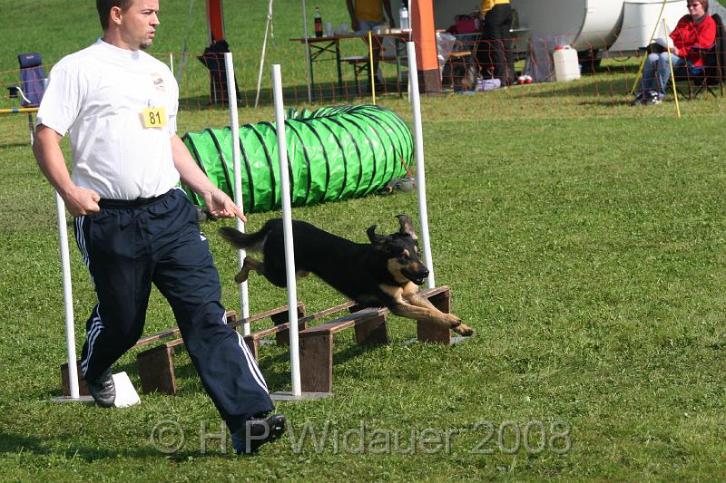 jubil.lusten. 111.jpg